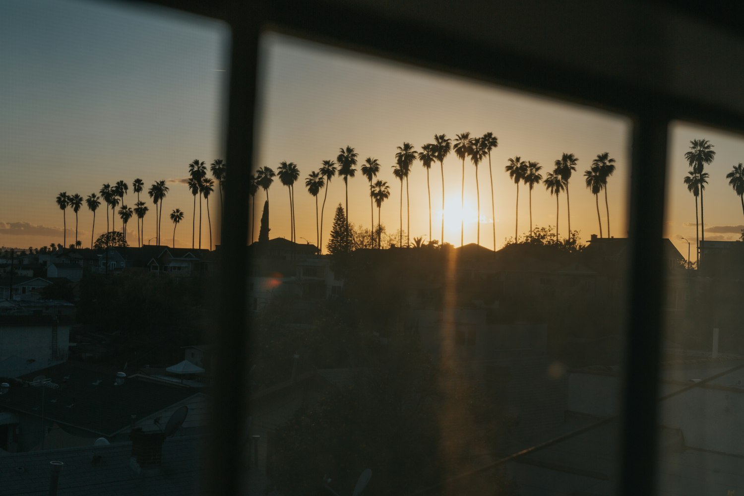 探索電影中的豐富情感與視覺盛宴，肉多電影專題分享