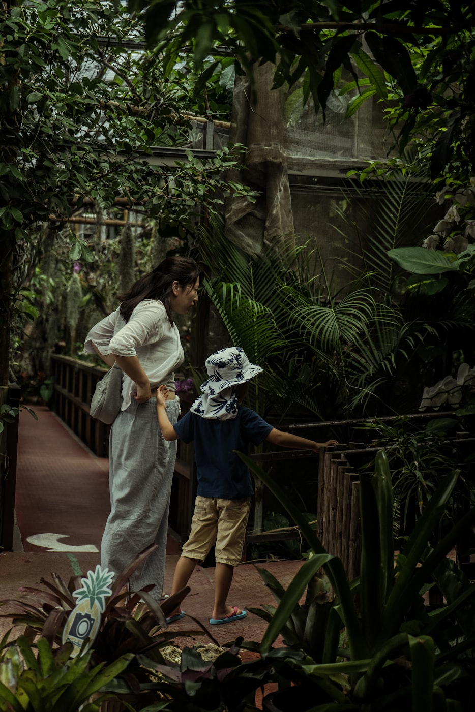 表妹與倫理電影的交織情感探索，倫理邊界的挑戰(zhàn)與情感糾葛