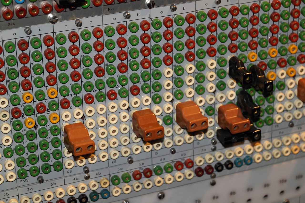 未來石龜市場行情深度分析與展望