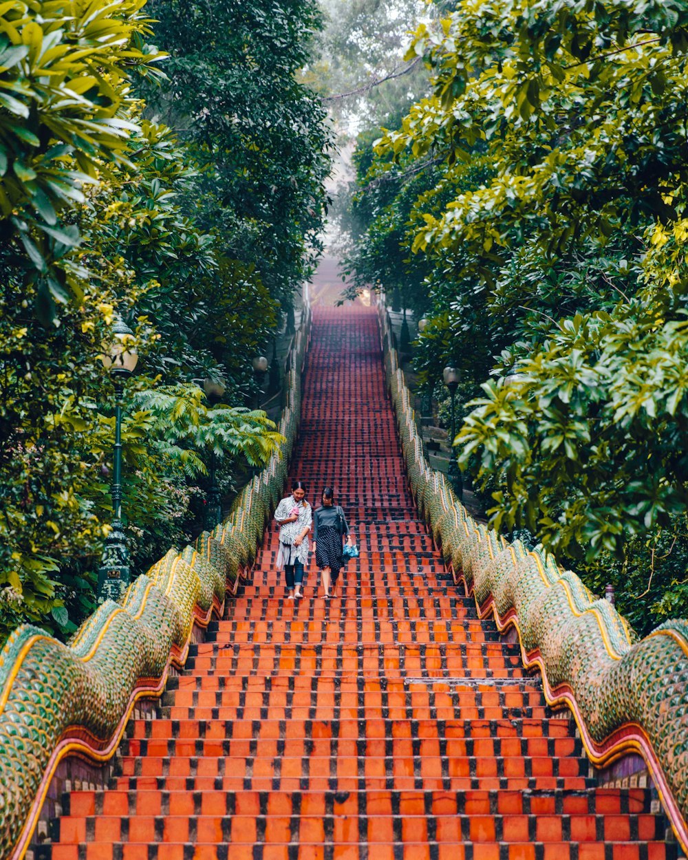 蘇州房?jī)r(jià)大幅下跌動(dòng)態(tài)揭秘，市場(chǎng)分析與趨勢(shì)預(yù)測(cè)