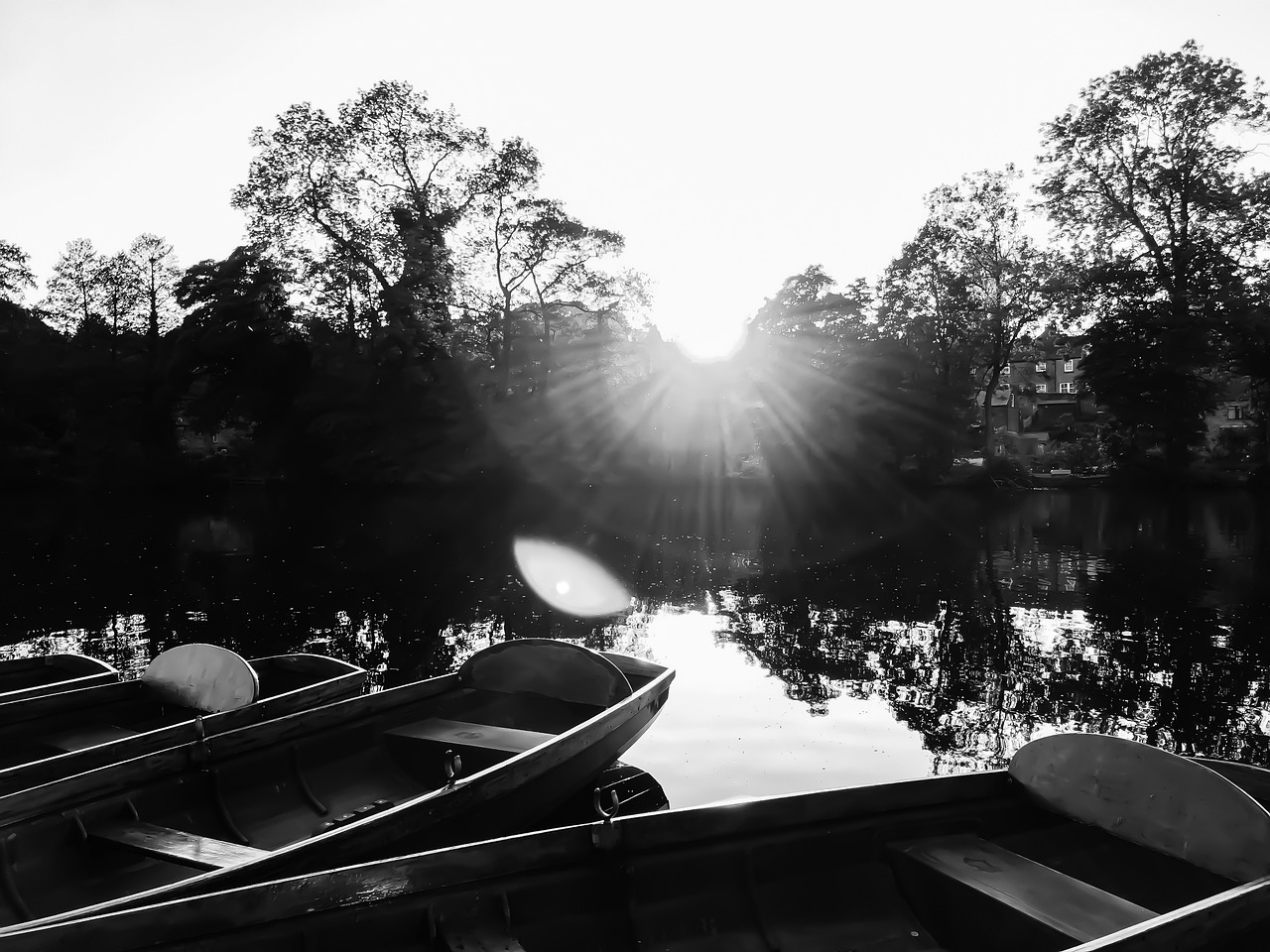 安貝爾花園最新動(dòng)態(tài)更新