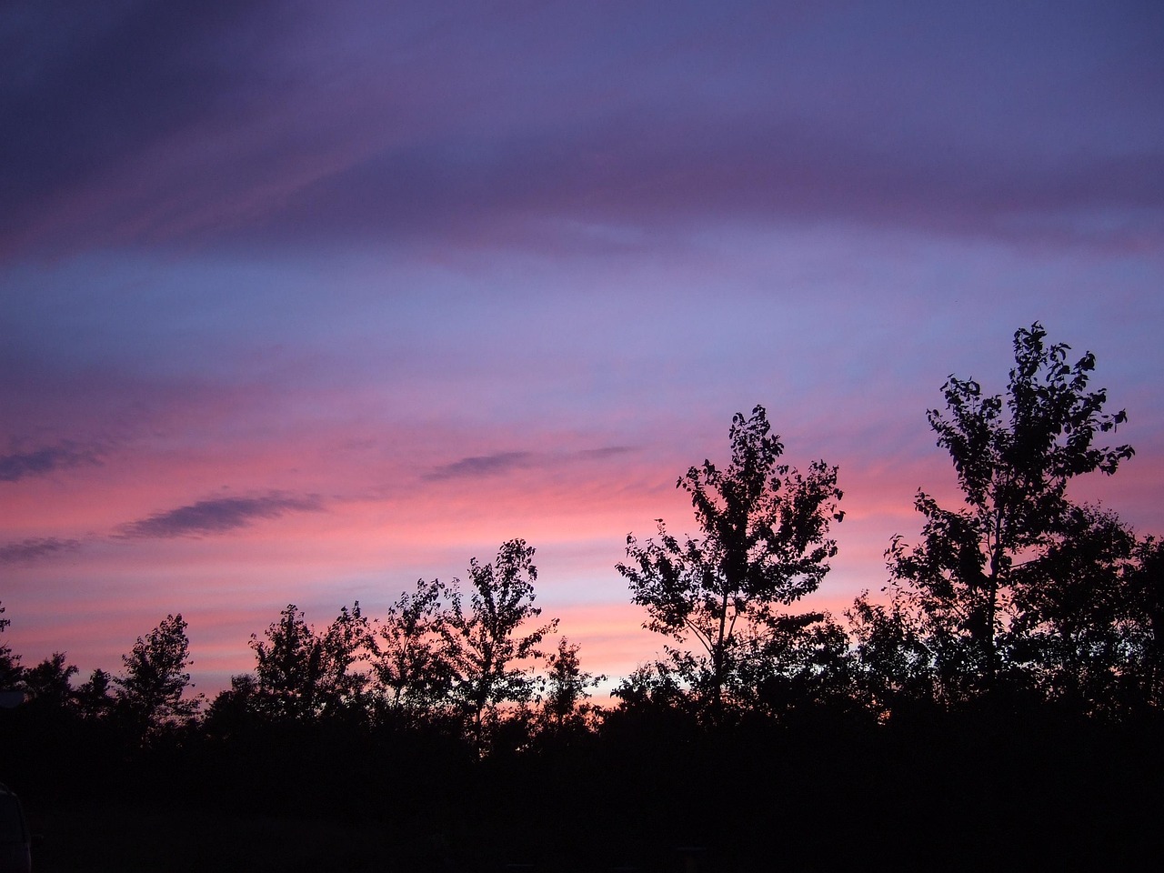 后來電影，重塑影視藝術魅力，展望未來發(fā)展
